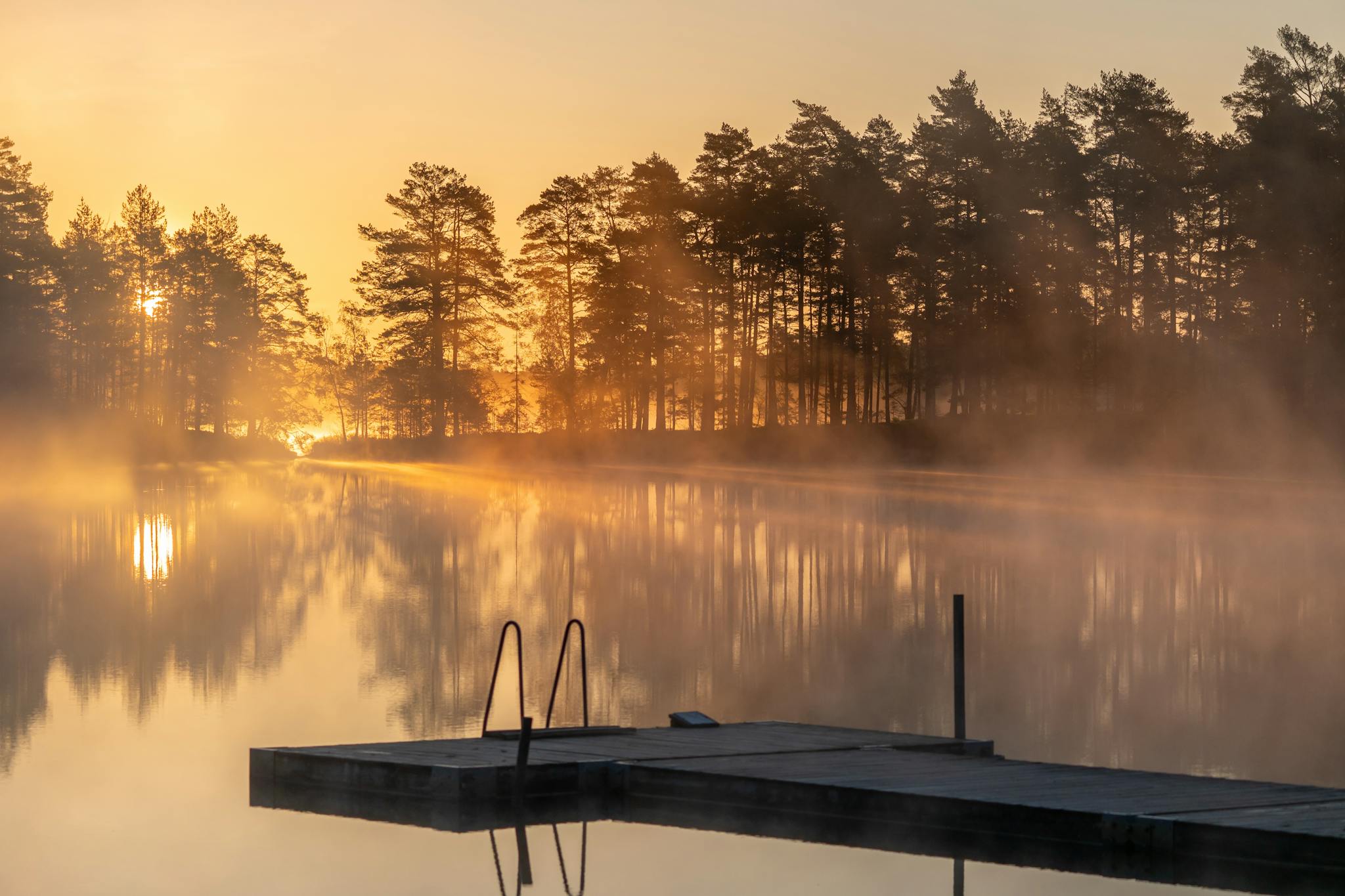 A tranquil scene of a misty lake at sunrise, framed by trees with a pier in the foreground.