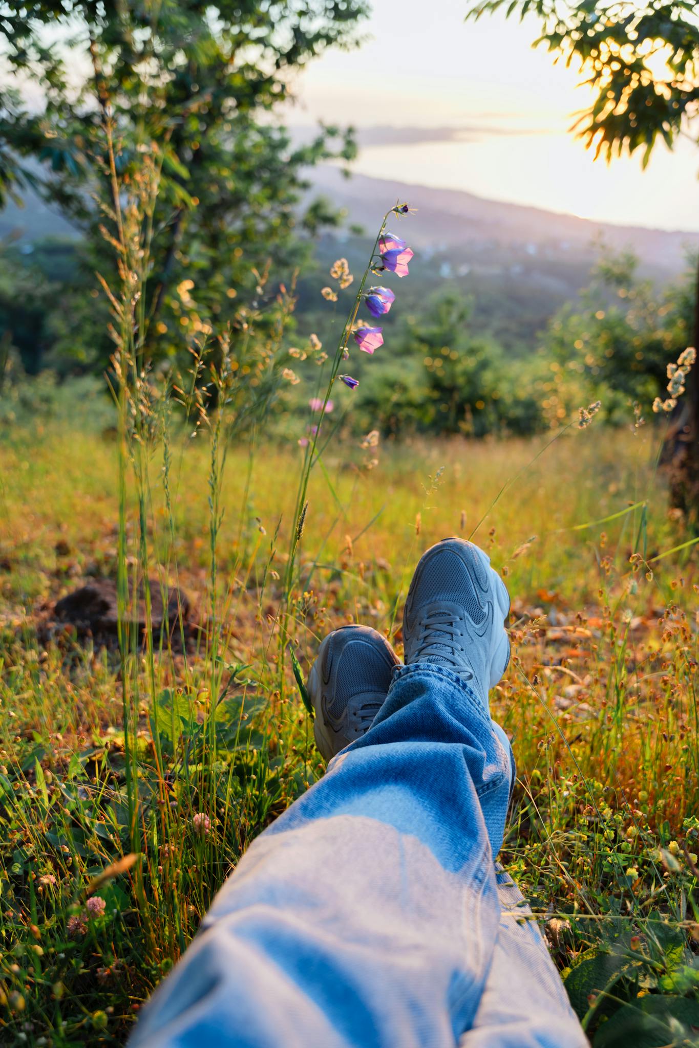 A tranquil scene of a person relaxing in a meadow with wildflowers at sunset, capturing a peaceful moment.